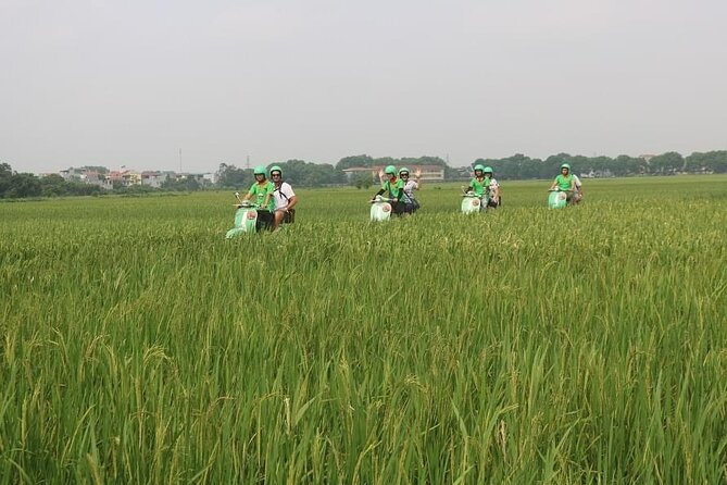 Ninh Binh Vespa Start from Hanoi + Boat + Villages +Rice Paddies - Small-group touring: why max 7 pax changes your day