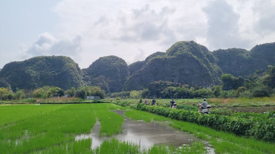 Ninh Binh Vespa Tours from Hanoi: Vespa + Boat + Daily Life - Key takeaways before you go