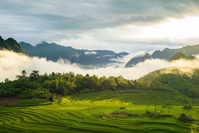 Noi Bai Airport transfer to Hotel or Vice versa - Price and Value: Why $15 Can Make Sense for Small Groups