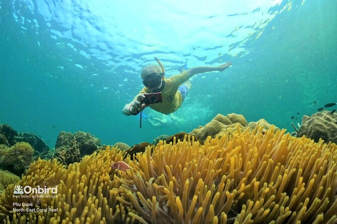 OnBird - PRIVATE ADVENTURE SNORKELING - explore Half-moon reef & Coral Mountain - Key highlights at a glance