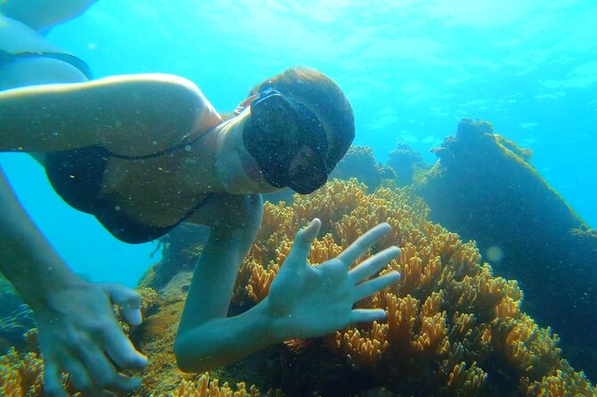 OnBird - PRIVATE ADVENTURE SNORKELING - explore Half-moon reef & Coral Mountain - Sunset and island bar time: the part most people underestimate
