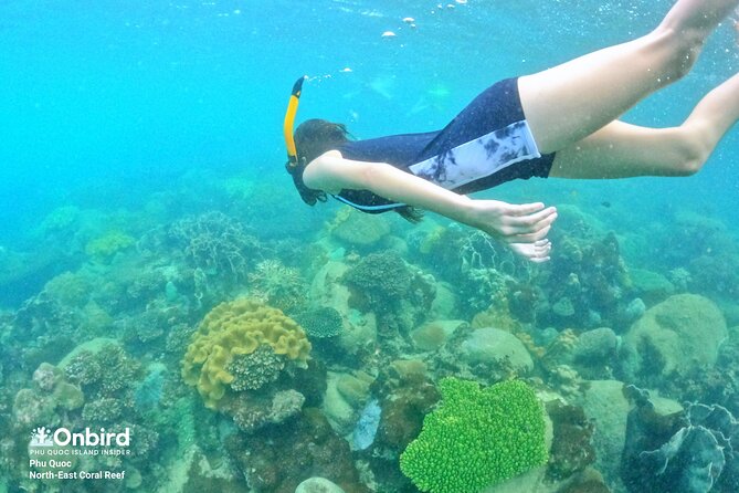 OnBird - Private family KID-FRIENDLY Snorkeling trip by speedboat in Phu Quoc - Food, drinks, and comfort between swims