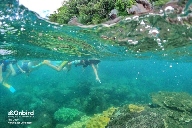 OnBird - Private family KID-FRIENDLY Snorkeling trip by speedboat in Phu Quoc - Price and value: what $152.08 includes for families