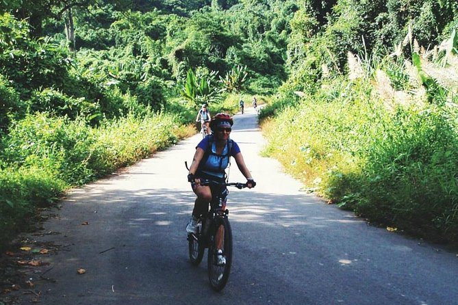 One day bike from Da Lat to Mui Ne - Pine forests, thick jungles, and scenic valleys you actually ride through