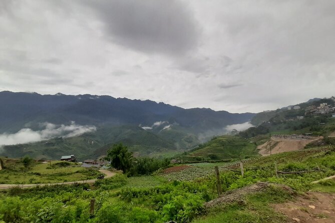 One day Trekking in Sapa and Muong Hoa Valley with local guide - Timing That Works: Leaving, Walking, and Being Back by Mid-Afternoon