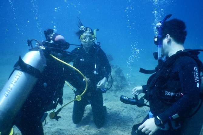 PADI Discover Scuba Diving - introduction program for beginners - Key points to know before you go