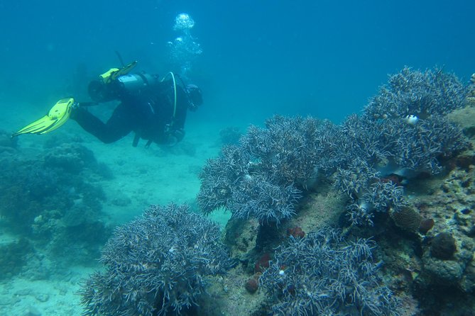 PADI Discover Scuba Diving - introduction program for beginners - All-inclusive comfort: what’s included (and what you should pack)