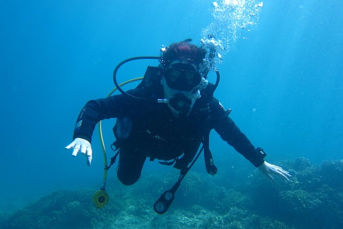 PADI Discover Scuba Diving - introduction program for beginners - What you’ll see underwater: reefs, soft corals, and familiar fish