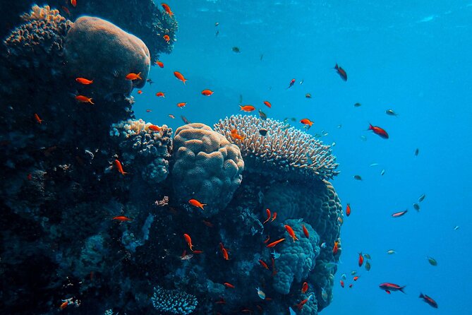 PADI Open Water Diver Course | For beginners - Open-water training at Hon Mun Island: four sessions up to 18 meters
