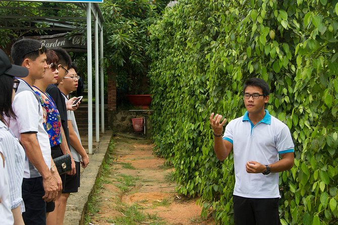 Phu Quoc Discover South And North Together_Private tour - North Phu Quoc: Tranh Stream (Seasonal) or Forest Walking, Plus Villages and Views