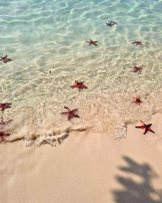 Phu Quoc: Kayaking with Starfish Beach and Bee Farm Tour - Cua Can River Kayaking: Peaceful Water, Real Local Life