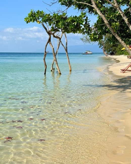 Phu Quoc: Kayaking with Starfish Beach and Bee Farm Tour - Ganh Dau Beach Viewpoint: A Cambodia Glimpse