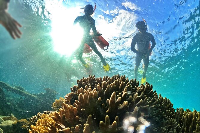 [Phu Quoc] Private Speedboat & Short-Snorkel: South Hidden Reefs - Snacks, water, and what you should do about lunch