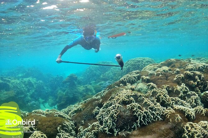 [Phu Quoc] Private Speedboat & Short-Snorkel: South Hidden Reefs - Price and value: what $159 buys you in real terms
