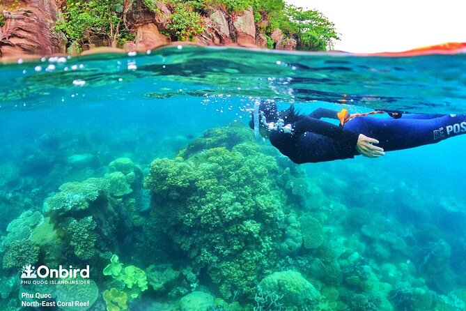 [Phu Quoc] Private Speedboat & Short-Snorkel: South Hidden Reefs - Reef stop 2: Northeast Coral Reef and the two-site strategy