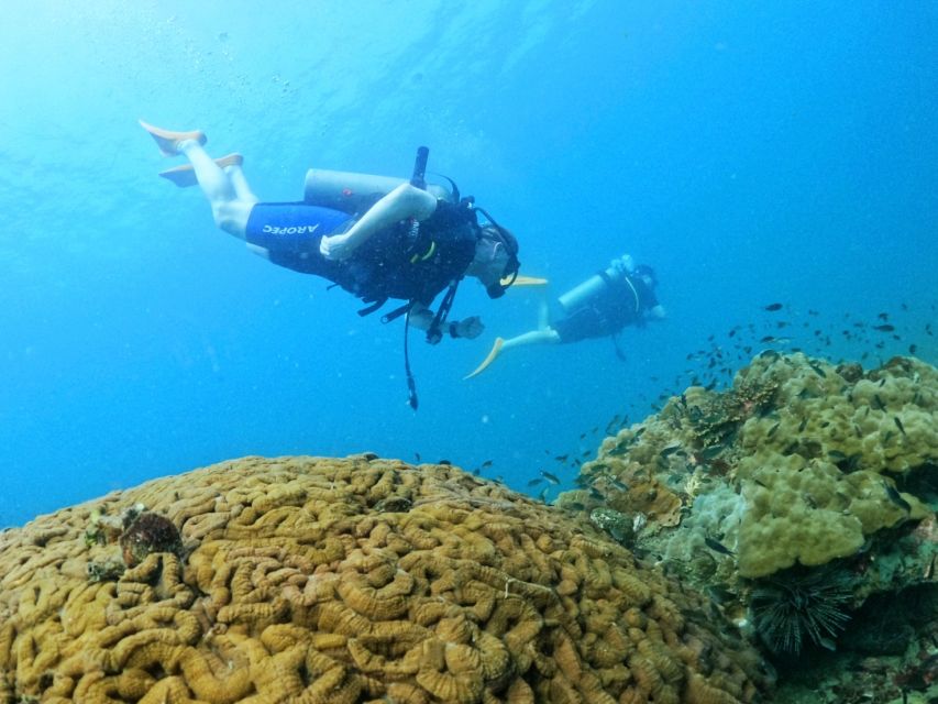 Phu Quoc: Scuba Diving Experience for All Levels - Getting ready: what the briefing is really for