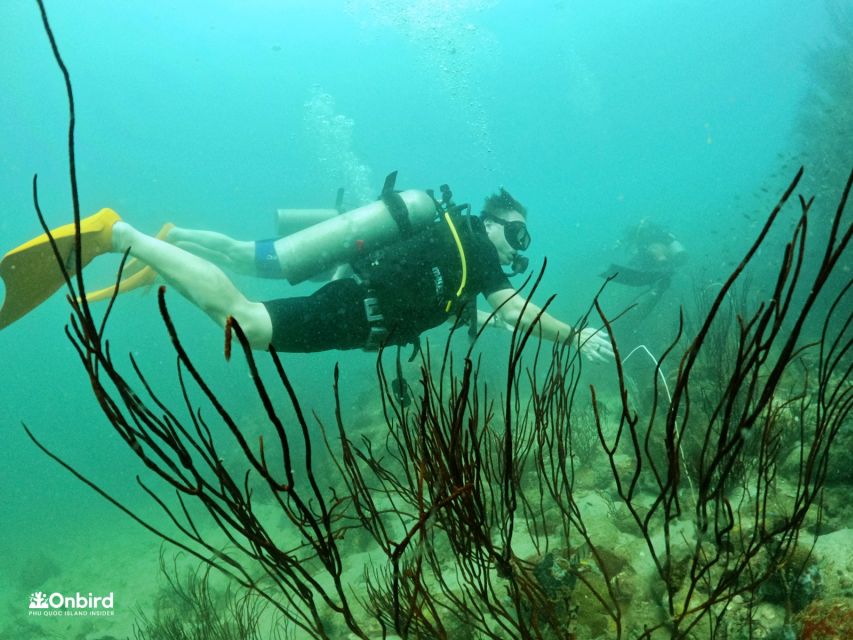 Phu Quoc: Scuba Diving Experience for All Levels - Two underwater sessions: the 6 m try limit and deeper options