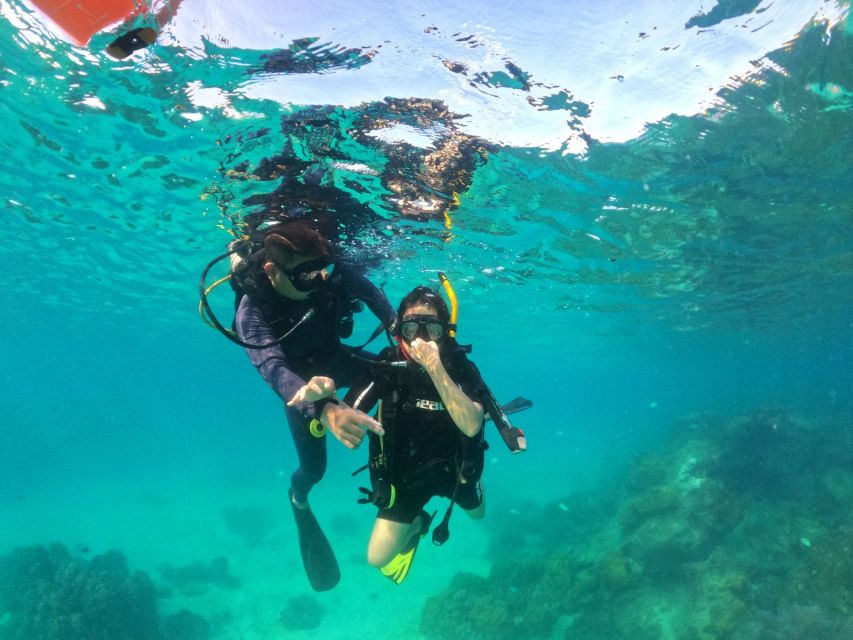 Phu Quoc: Scuba Diving Experience for All Levels - Sea conditions and schedule changes: plan with flexibility