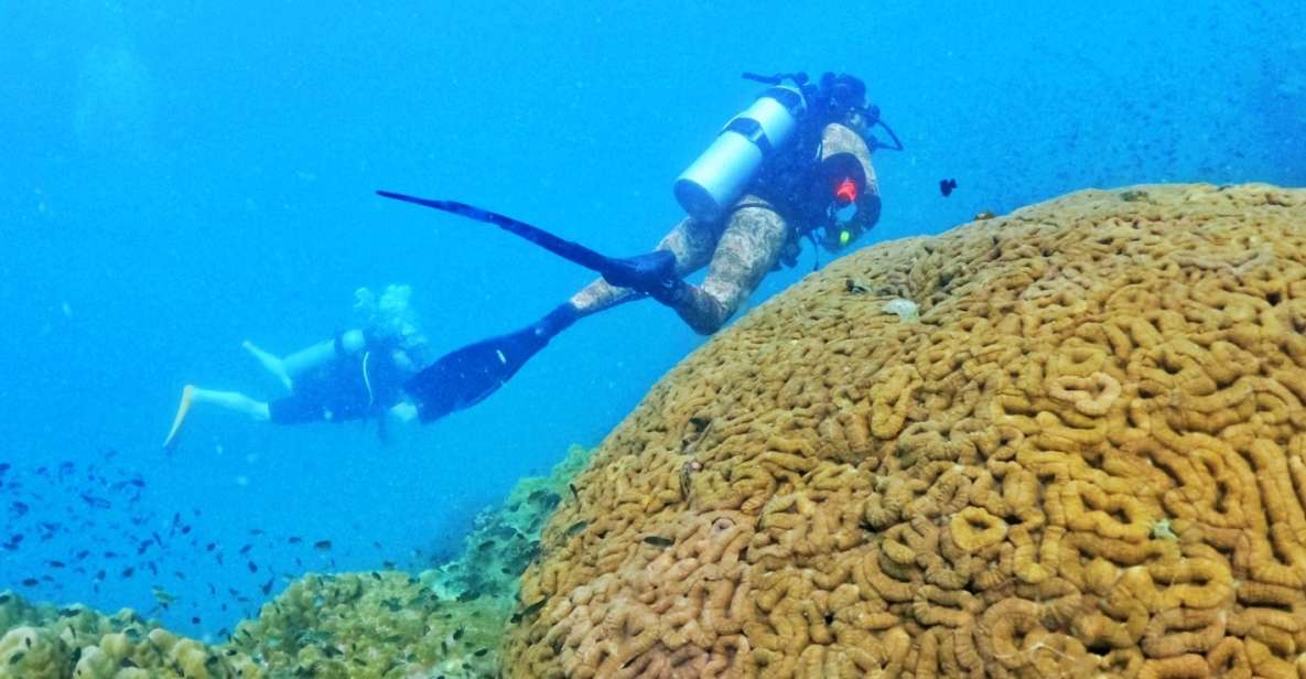 Phu Quoc: Scuba Diving Experience for All Levels - Price and value: what $102 really buys you