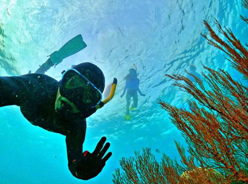 Phu Quoc Small-group Snorkeling to the Coral Jungle Reef - Your 6-Hour Day on Phu Quoc: Pickup to Sunset Beach