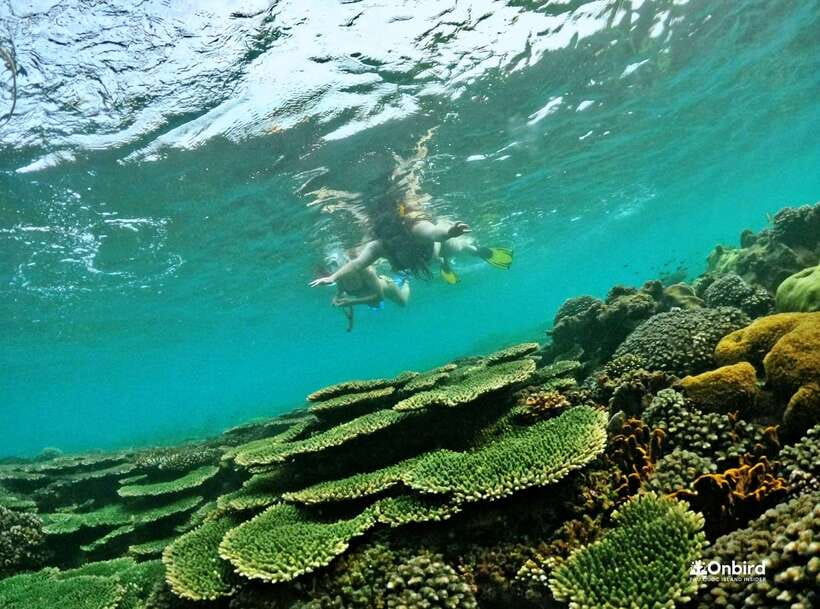 Phu Quoc Small-group Snorkeling to the Coral Jungle Reef - First Stop on Land: Training on a Calm Beach