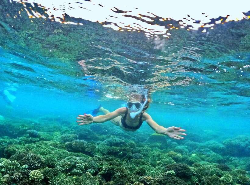 Phu Quoc Small-group Snorkeling to the Coral Jungle Reef - Robinson Island Between Sessions: Relax Time, If Tides Allow