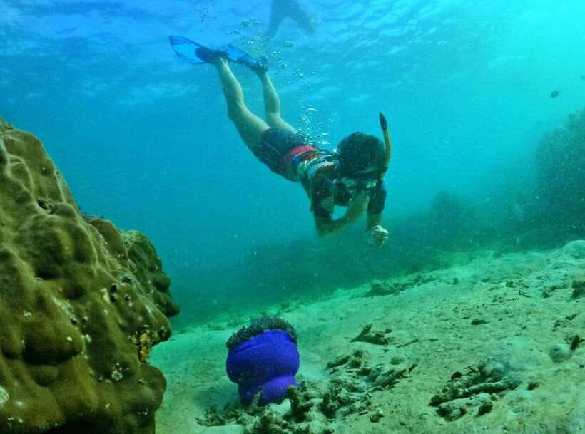 Phu Quoc Small-group Snorkeling to the Coral Jungle Reef - Price and Value: Is $58 Fair for This Setup?