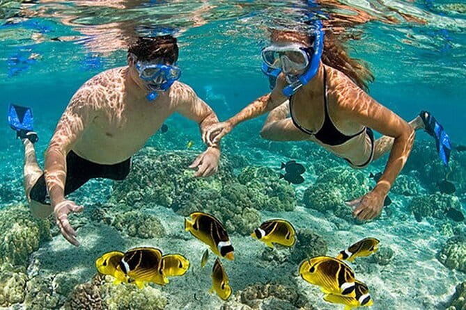 Phu Quoc: Snorkeling and Island Hopping By Speedboat with Lunch - Guides make the difference: English support and real energy