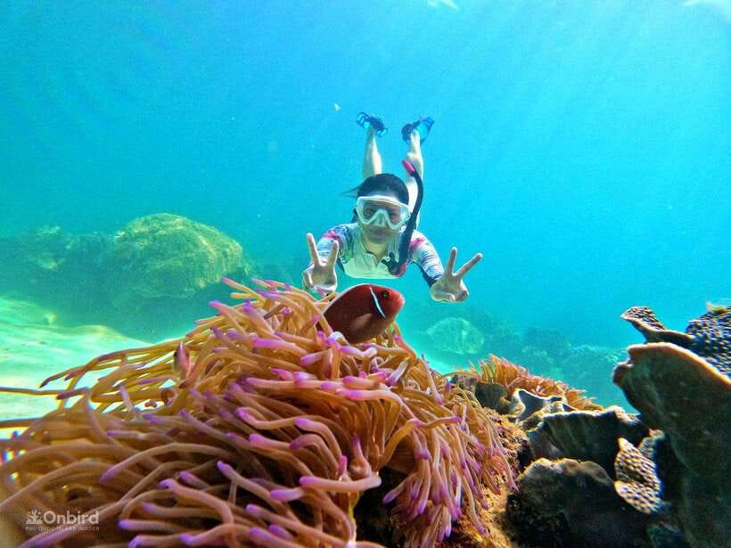 Phu Quoc: Speed Boat Tour 4 Islands - 2 Reefs Snorkeling - Key points worth knowing