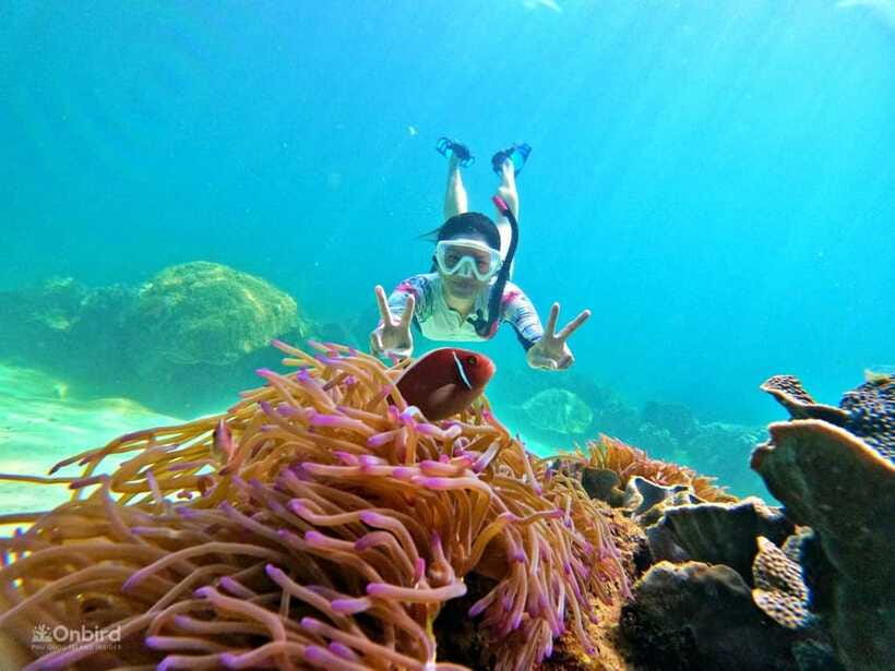 Phu Quoc: Speed Boat Tour 4 Islands - 2 Reefs Snorkeling - Choosing expectations: it’s not a Caribbean postcard, and that’s okay