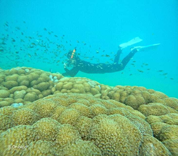 Phu Quoc: Speed Boat Tour 4 Islands - 2 Reefs Snorkeling - Four islands, but you don’t feel dragged around