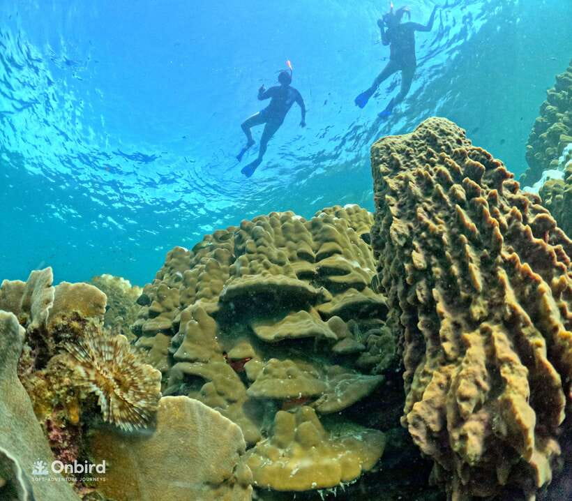 Phu Quoc: Speed Boat Tour 4 Islands - 2 Reefs Snorkeling - What to bring (and what to avoid) for a smooth day
