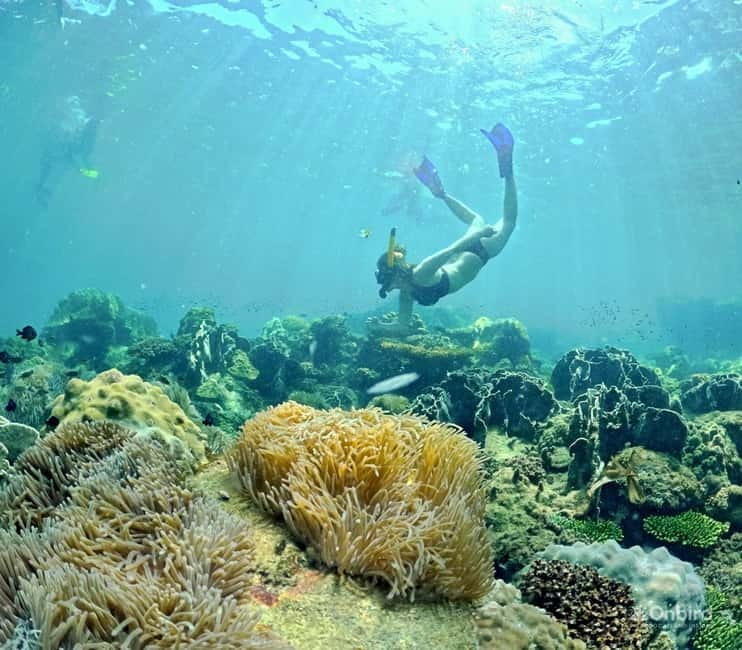 Phu Quoc Speedboat Pro Snorkeling: 4 Islands-2 Reefs & Meal - What makes the small-group boat day feel different (max 10 pax)