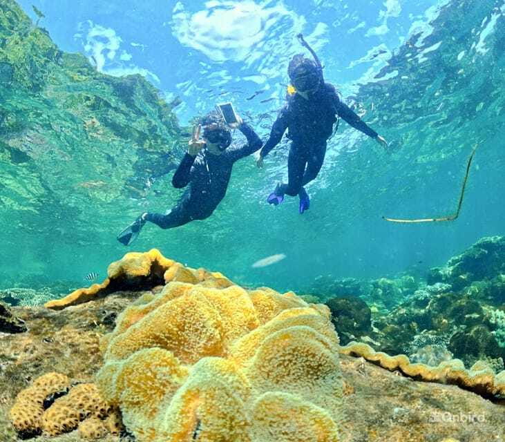 Phu Quoc Speedboat Pro Snorkeling: 4 Islands-2 Reefs & Meal - Ocean-friendly rules: they help you see more, not less