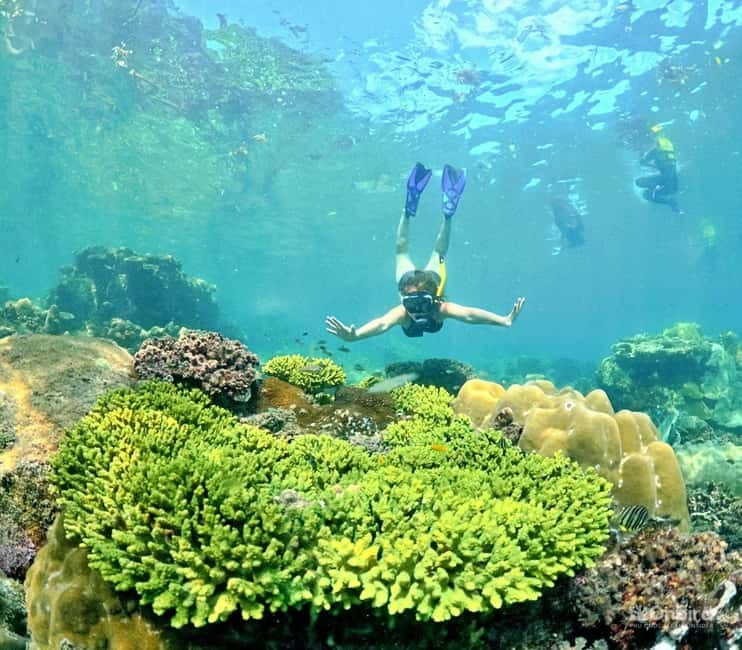 Phu Quoc Speedboat Pro Snorkeling: 4 Islands-2 Reefs & Meal - What the crew does for safety (and why it matters on a speedboat day)