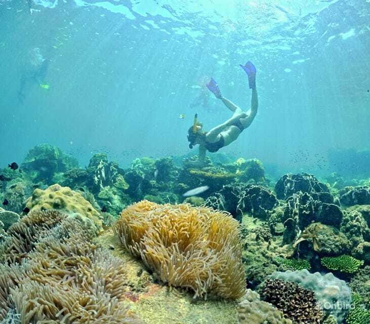 Phu Quoc Speedboat Pro Snorkeling: 4 Islands-2 Reefs & Meal - The island-hopping rhythm: enough time to enjoy, not just “check a box”