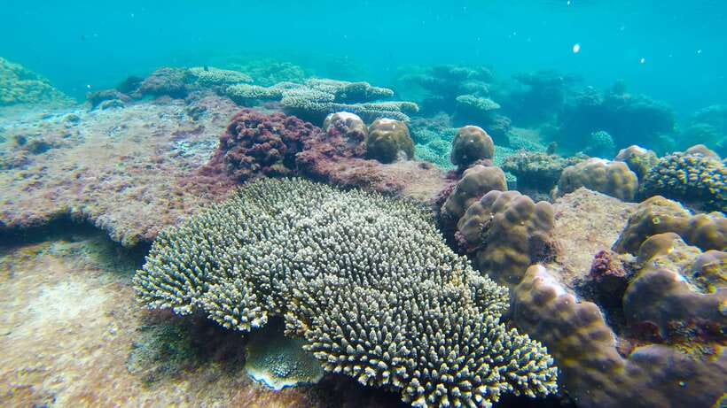 Phu Quoc Speedboat Trip: 3 Islands By Speedboat - Guides and the Human Side: What Makes the Day Feel Easy