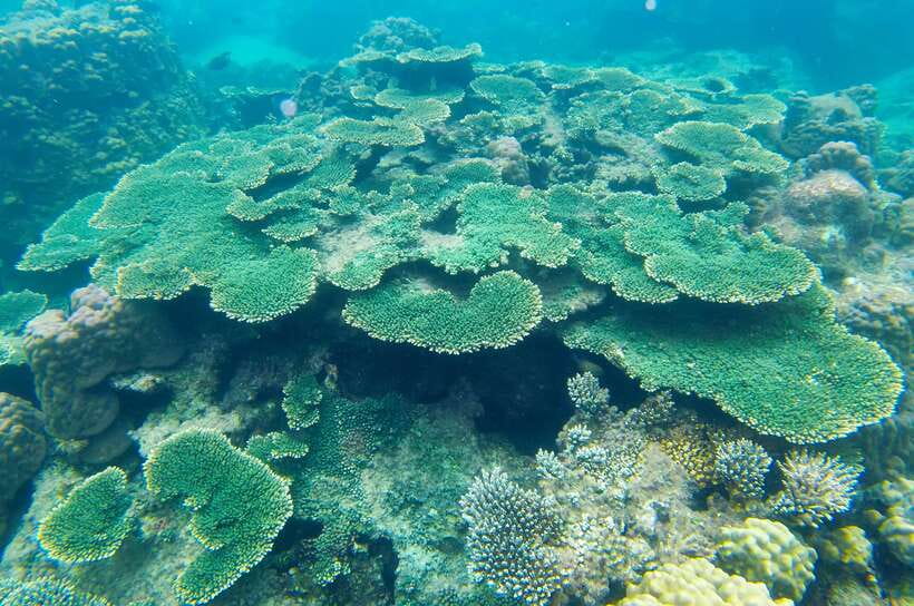 Phu Quoc Speedboat Trip: 3 Islands By Speedboat - Boarding at An Thoi Harbor: The Speedboat Part Everyone Remembers