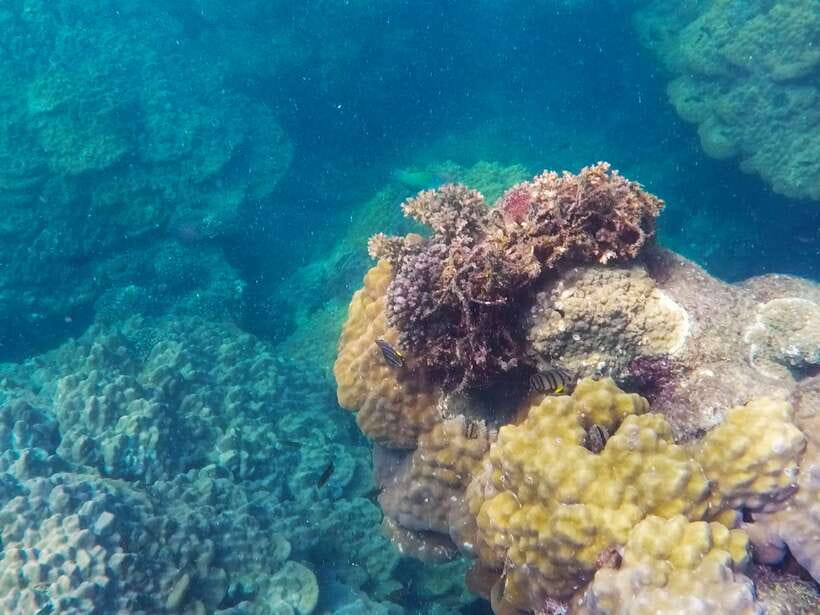 Phu Quoc Speedboat Trip: 3 Islands By Speedboat - Optional Seawalker Near Hon Thom (At Your Own Expense)
