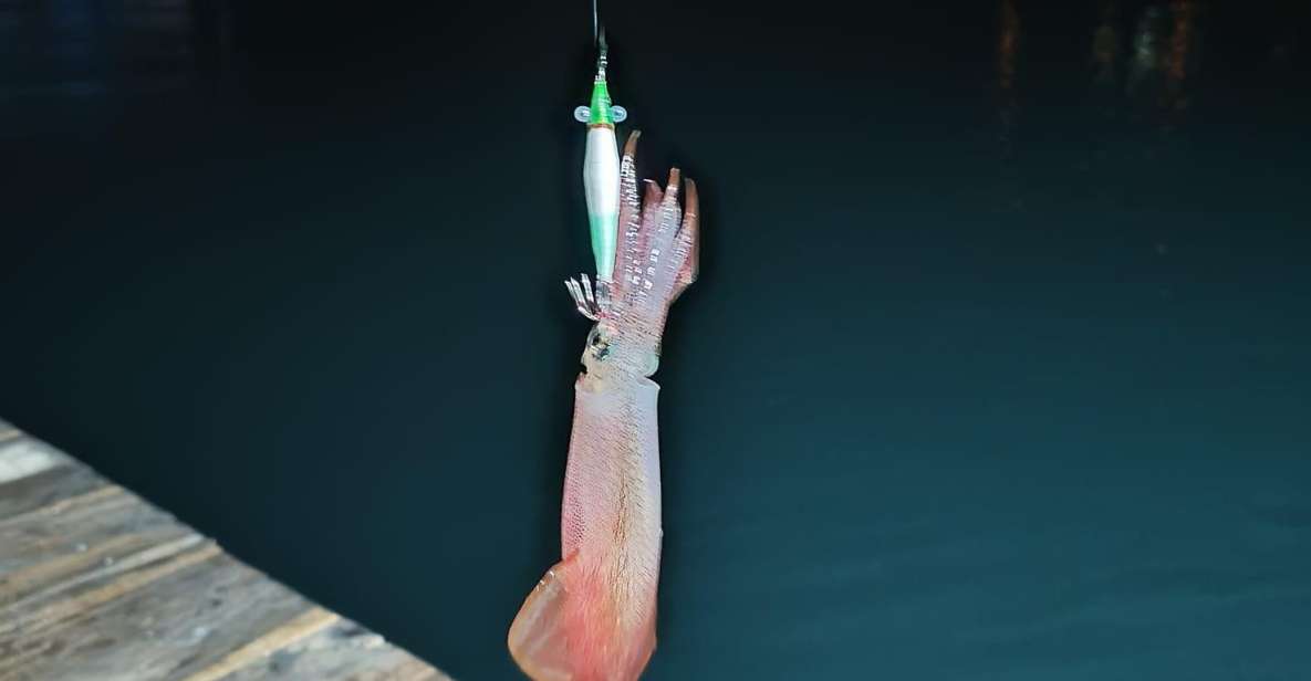Phu Quoc: Squid Fishing Tour with sunset views & dinner - Key things to know before you go