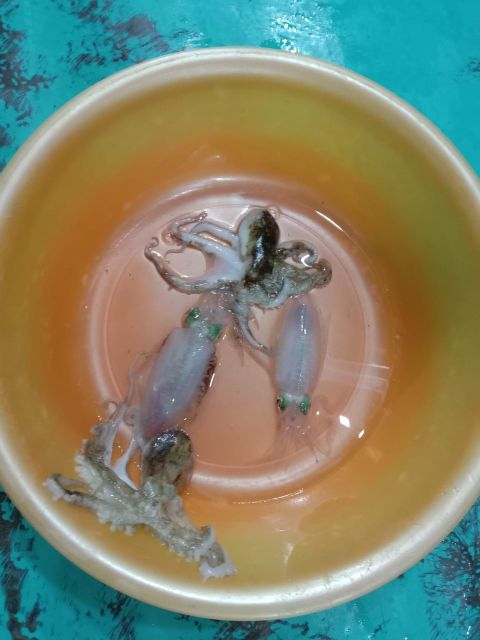 Phu Quoc: Squid Fishing Tour with sunset views & dinner - Value for Money: Is $21 Really a Good Deal?