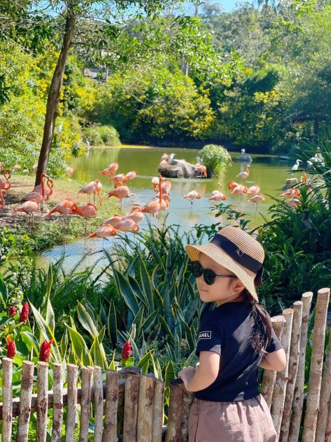 Phu Quoc: Vinpearl Safari Park Entry Ticket - Tickets and Value: Is $29 a Good Deal?