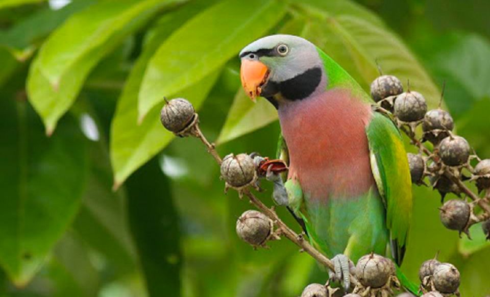 Phu Quoc: Vinpearl Safari Park Entry Ticket - Kid Zoo: A Real Plan for Families, Not Just a Corner