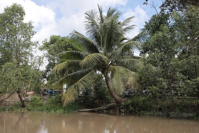 Premium Can Tho Small Canal Tour in Mekong Delta - The Guide’s Role: Explanations That Make the Canals Legible