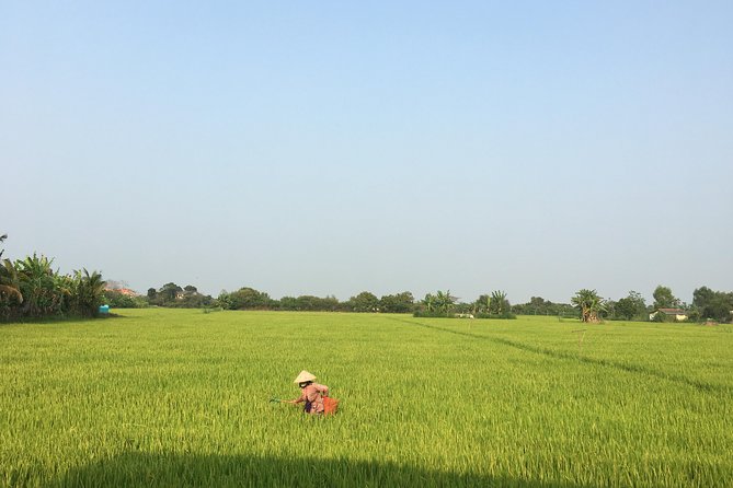 Private - An Authentic Mekong Local Version - Day Tour - The 7:30 am Pickup and Small-Group Setup That Makes It Easy