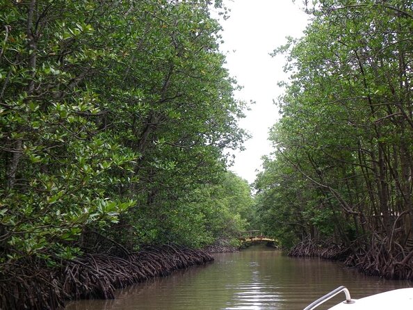 Private Can Gio Mangrove Eco Tour – Boat & Wildlife - Key highlights at a glance
