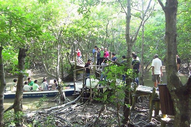 Private Can Gio Mangrove Eco Tour – Boat & Wildlife - Vam Sat canopy tower: seeing the reserve from above