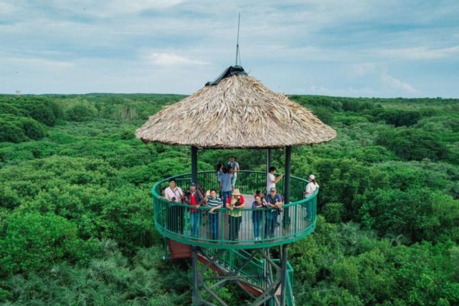 Private Can Gio Mangrove Eco Tour – Boat & Wildlife - Riverside lunch and local fruit tasting: fueling the second half
