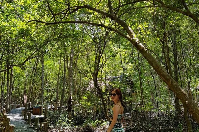 Private Can Gio Mangrove Eco Tour – Boat & Wildlife - Price and value: is $147 worth it?