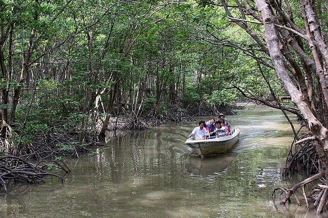 Private Can Gio Mangrove Eco Tour – Boat & Wildlife - Inside the UNESCO mangroves: speedboat, boat, and canoe time